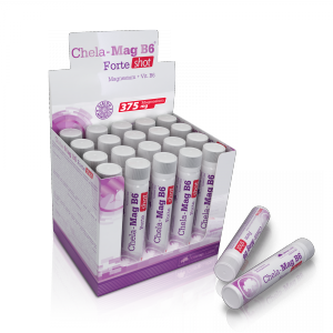 چلا مگ بی ۶ فورت